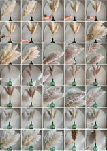 Cargar imagen en el visor de la galería, Pampas al gusto!!!