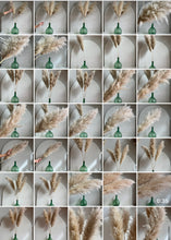 Cargar imagen en el visor de la galería, Pampas al gusto!!!