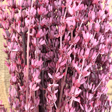 Cargar imagen en el visor de la galería, Lavanda preservada