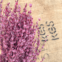 Cargar imagen en el visor de la galería, Lavanda preservada