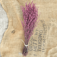 Cargar imagen en el visor de la galería, Lavanda preservada