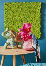Cargar imagen en el visor de la galería, Orquídeas colombianas Hiperrealistas