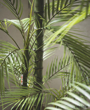 Cargar imagen en el visor de la galería, Planta Areca Hiperrealista