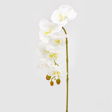 Cargar imagen en el visor de la galería, Orquídea blanca