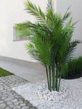 Cargar imagen en el visor de la galería, Palma Areca de Exterior