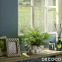 Cargar imagen en el visor de la galería, Helecho Fémina