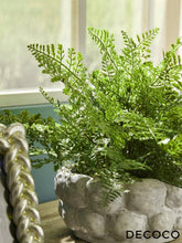 Cargar imagen en el visor de la galería, Helecho Fémina