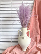 Cargar imagen en el visor de la galería, Stypa Pennata Varios Colores