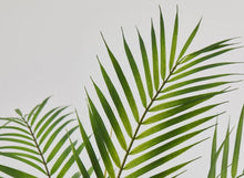 Cargar imagen en el visor de la galería, Areca de pinchar