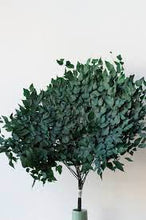 Cargar imagen en el visor de la galería, Avencao Preservado