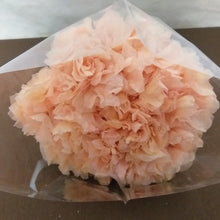 Cargar imagen en el visor de la galería, Hortensias Preservadas Varios Colores