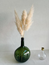 Cargar imagen en el visor de la galería, Pampas Nube