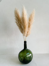 Cargar imagen en el visor de la galería, Pampas Holandesas (Beige)