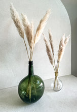 Cargar imagen en el visor de la galería, Pampas Pluma