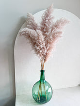 Cargar imagen en el visor de la galería, Pampas Rositas Preservadas