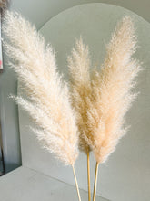 Cargar imagen en el visor de la galería, Pampas Nube