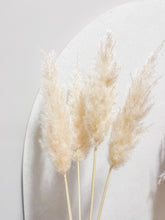 Cargar imagen en el visor de la galería, Secret Pampas