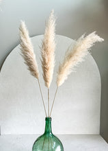 Cargar imagen en el visor de la galería, Pampas Patri White House