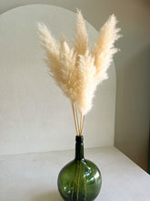 Cargar imagen en el visor de la galería, Pampas Nube