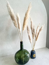 Cargar imagen en el visor de la galería, Pampas Pluma