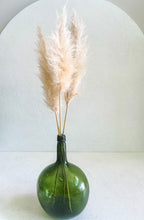 Cargar imagen en el visor de la galería, Pampas Africanas