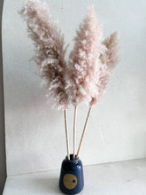 Cargar imagen en el visor de la galería, Pampas Rositas Preservadas