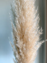 Cargar imagen en el visor de la galería, Pampas Holandesas (Beige)