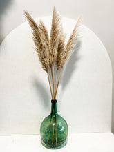 Cargar imagen en el visor de la galería, Pampas Africanas