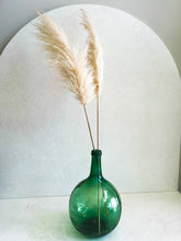 Cargar imagen en el visor de la galería, Pampas Africanas