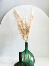 Cargar imagen en el visor de la galería, Pampas Africanas