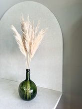 Cargar imagen en el visor de la galería, Pampas Pluma