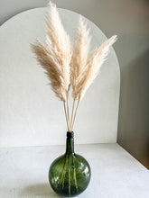 Cargar imagen en el visor de la galería, Secret Pampas