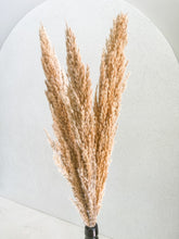 Cargar imagen en el visor de la galería, Mini Pampas Secas Silvetres