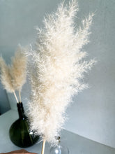 Cargar imagen en el visor de la galería, Pampas Nube