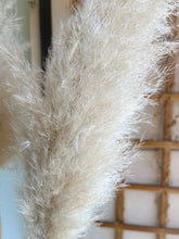 Cargar imagen en el visor de la galería, Pampas Holandesas (Beige)