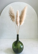 Cargar imagen en el visor de la galería, Pampas Holandesas (Beige)