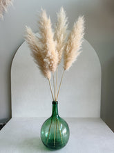 Cargar imagen en el visor de la galería, Pampas Nube