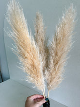 Cargar imagen en el visor de la galería, Pampas Holandesas (Beige)