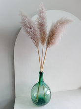 Cargar imagen en el visor de la galería, Pampas Rositas Preservadas