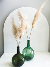 Cargar imagen en el visor de la galería, Pampas Africanas