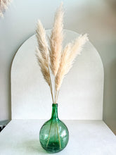 Cargar imagen en el visor de la galería, Secret Pampas