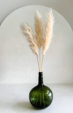 Cargar imagen en el visor de la galería, Secret Pampas