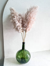 Cargar imagen en el visor de la galería, Pampas Rositas Preservadas