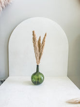 Cargar imagen en el visor de la galería, Pack Pampas Secas Silvetres