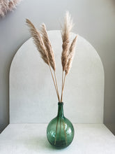 Cargar imagen en el visor de la galería, Pampas Africanas