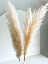 Cargar imagen en el visor de la galería, Pampas Patri White House