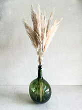 Cargar imagen en el visor de la galería, Pampas Pluma