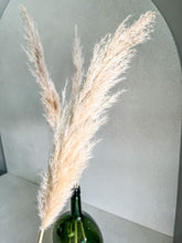 Cargar imagen en el visor de la galería, Pampas Pluma