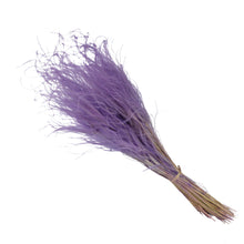 Cargar imagen en el visor de la galería, Stypa Pennata Varios Colores