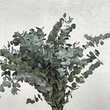 Cargar imagen en el visor de la galería, Eucalipto Varios colores